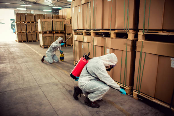 Best Bed Bug Extermination  in Gregory, SD