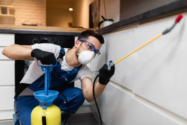 Best Pest Control Near Me  in Gregory, SD