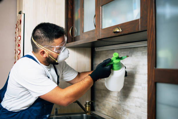 Best Pest Removal Services  in Gregory, SD