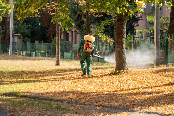 Best Best Pest Control Companies  in Gregory, SD