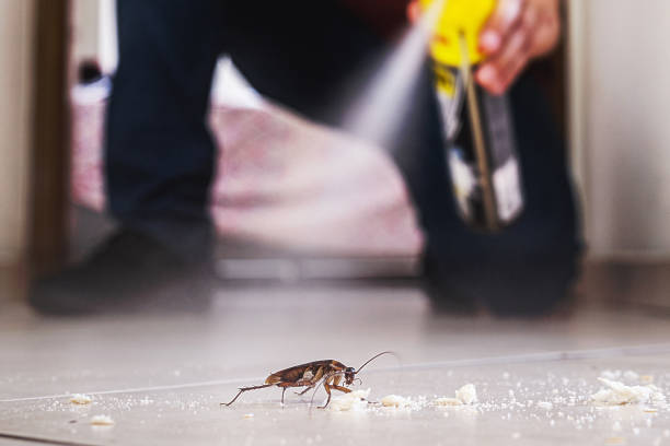 Best Commercial Pest Control Services  in Gregory, SD
