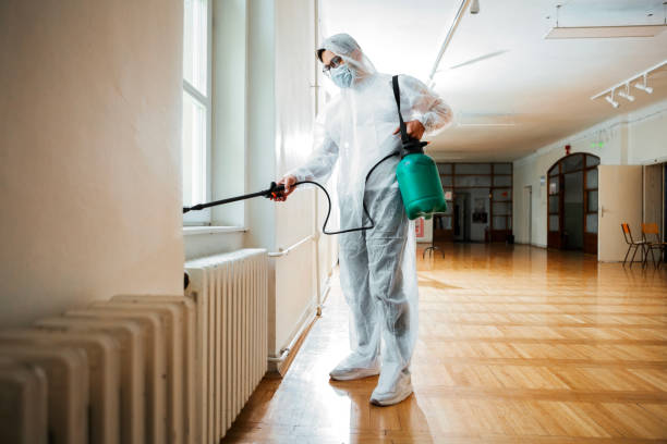 Best Flea Control Services  in Gregory, SD