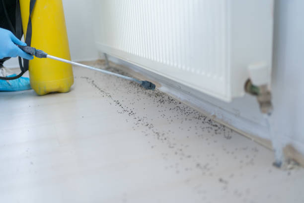 Trusted Gregory, SD Pest Control Experts