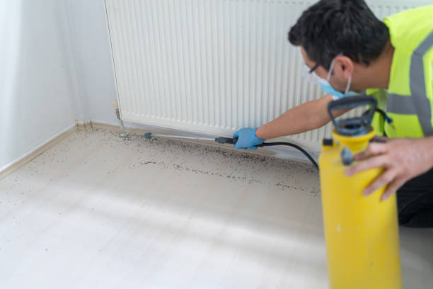 Best Ant Control Services  in Gregory, SD