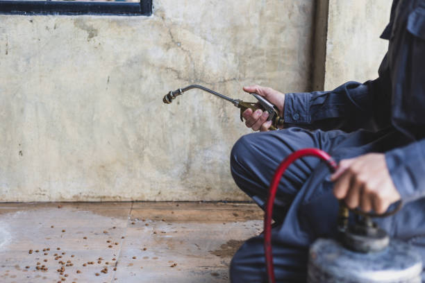 Best Affordable Pest Control Services  in Gregory, SD